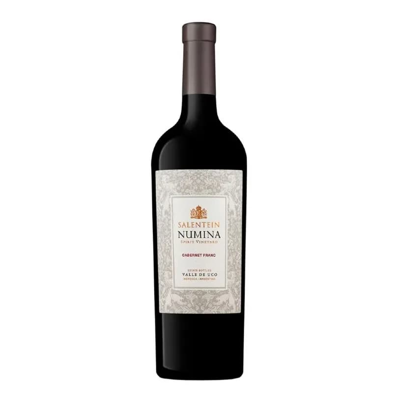 SALENTEIN NUMINA CAB FRANC 750CC